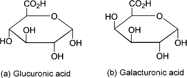 galacturonic-acid-analysis-service1.png