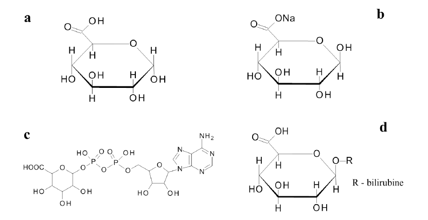 glucuronic-acid-analysis-service1.png