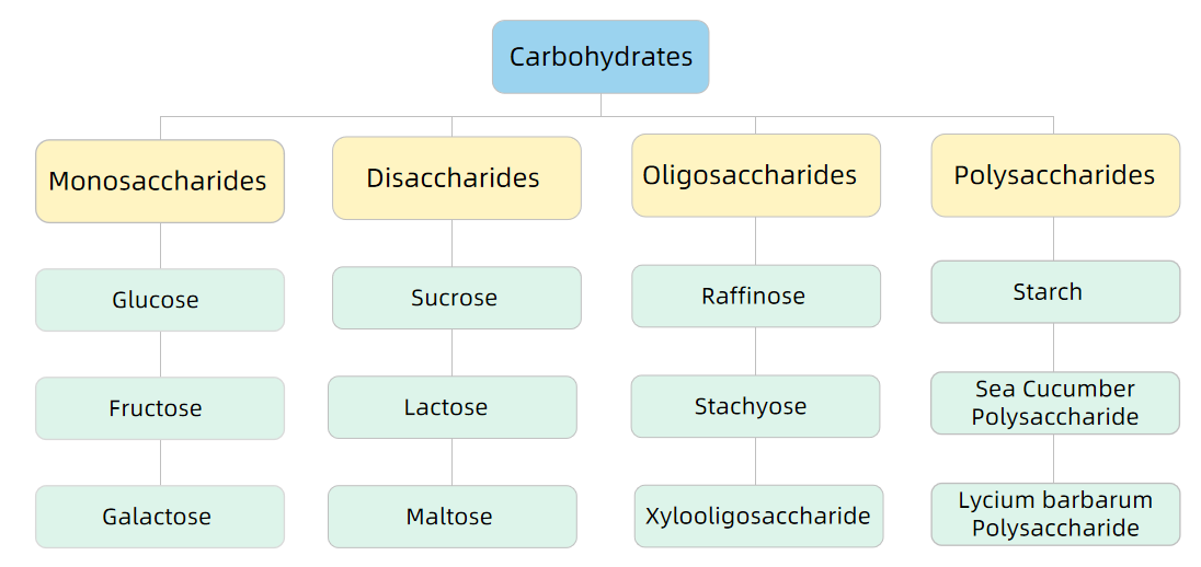 1985225563247263744-carbohydrate-analysis-services1.png