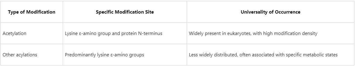 what-is-the-differences-between-protein-acetylation-and-acylation-1