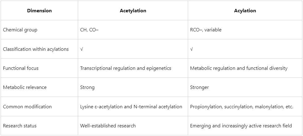 what-is-the-differences-between-protein-acetylation-and-acylation-3