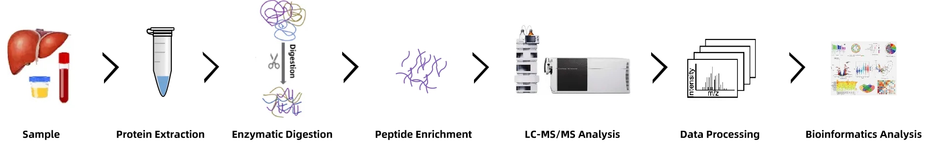 post-translational-modification-site-identification-service-1