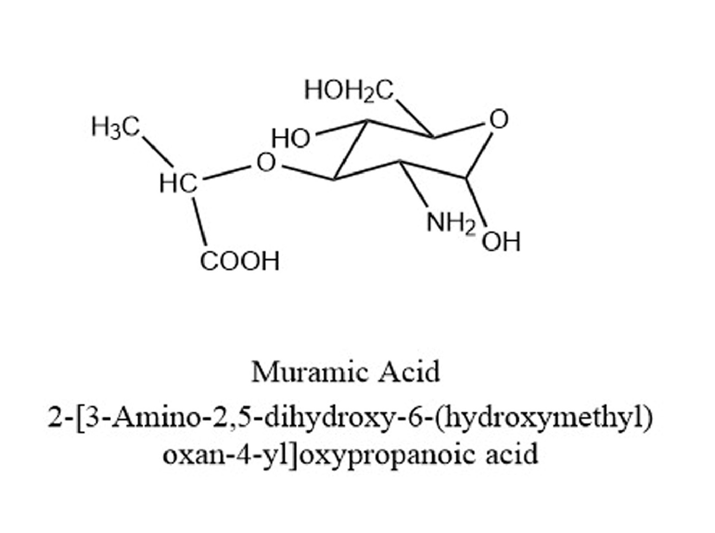 Muramic Acid Analysis Service | MtoZ Biolabs