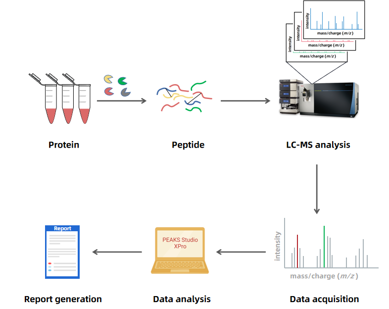 disulfide-bonded-peptide-mapping-service-1