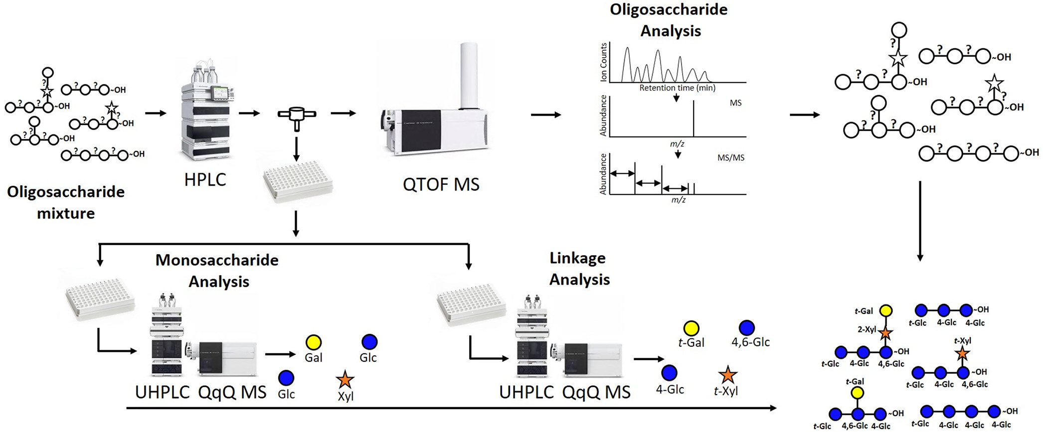 oligosaccharide-analysis-service2.jpeg