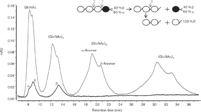polysaccharide-anomeric-configuration-identification-service2.png