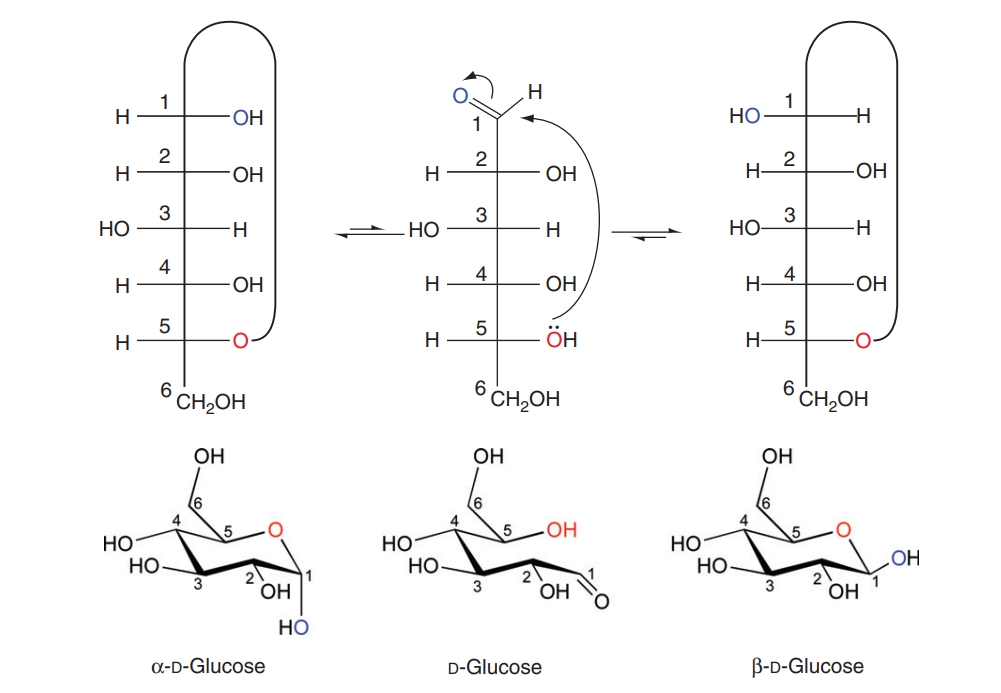 polysaccharide-anomeric-configuration-identification-service1.jpg