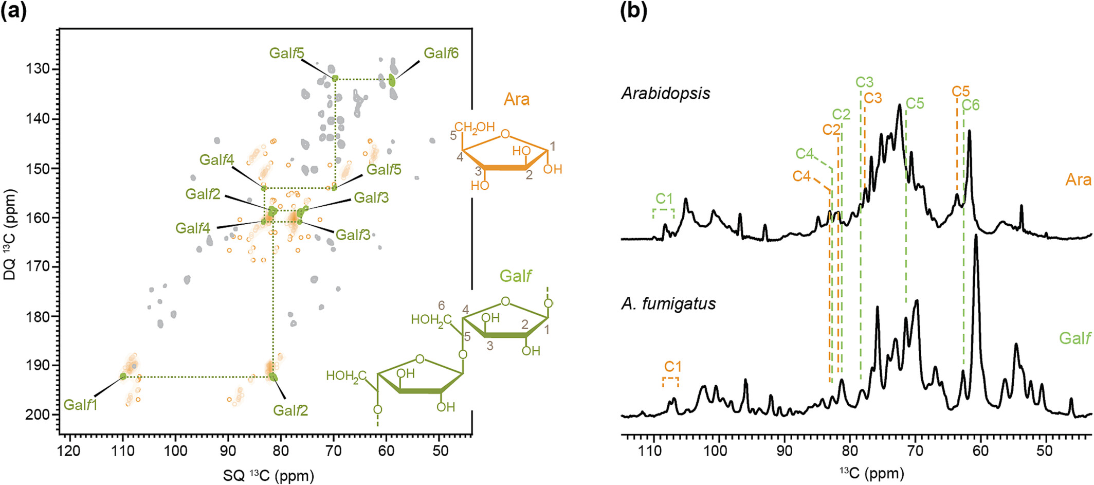 nmr-based-polysaccharide-analysis-service2.png
