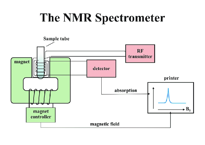nmr-based-polysaccharide-analysis-service1.png