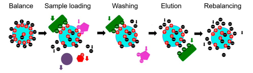 ion-exchange-chromatography-peptide-purification-service-1