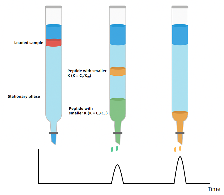 partition-chromatography-peptide-purification-service-1