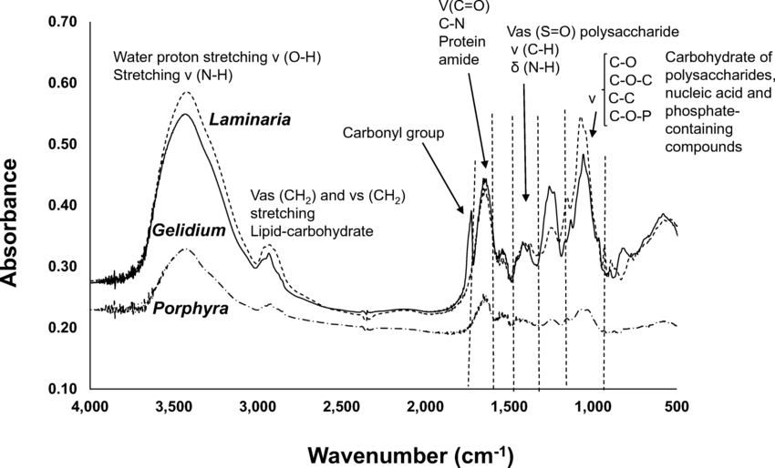 infrared-spectroscopic-based-polysaccharide-analysis-service2.png