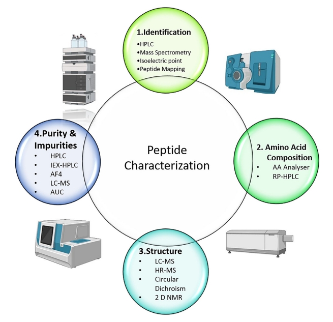 peptide-characterization-service1.jpg