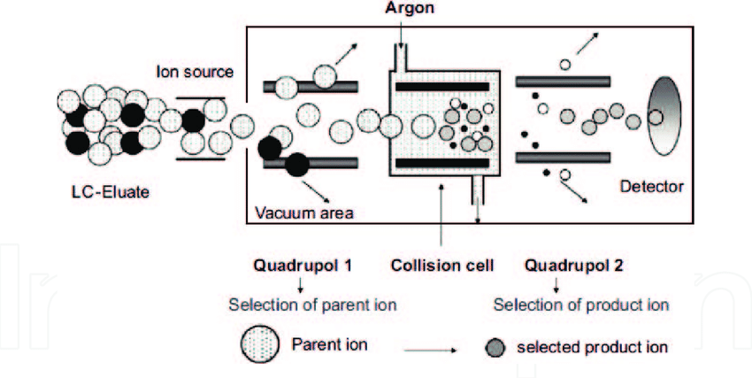 tandem-mass-spectrometry-based-peptide-sequence-analysis-service1.png