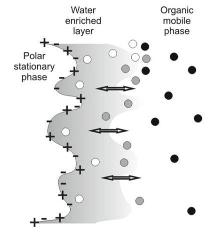 1988425370932203520-hilic-based-peptide-fractionation-service1.PNG