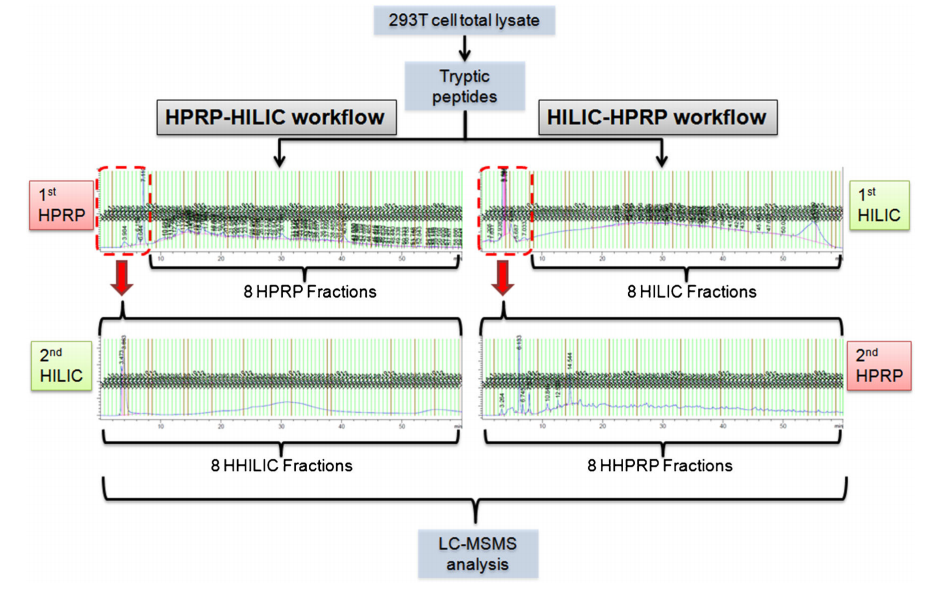 1988429642663055360-hilic-based-peptide-fractionation-service2.PNG