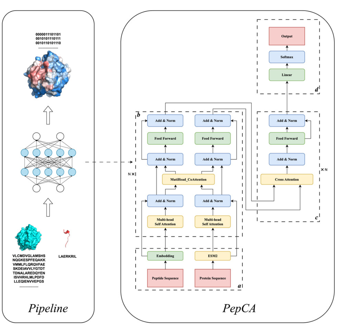 protein-peptide-interaction-prediction-service1