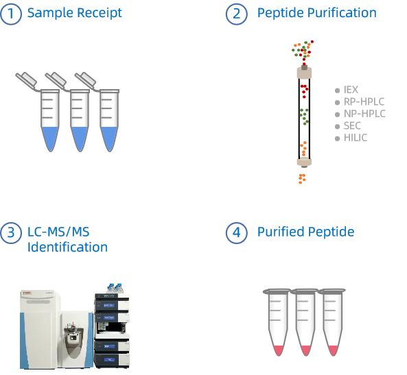 1988803612188987392-custom-peptide-purification-services1.png