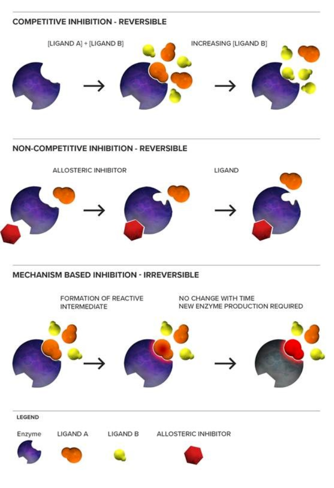 cyp-inhibition-assessment-service1