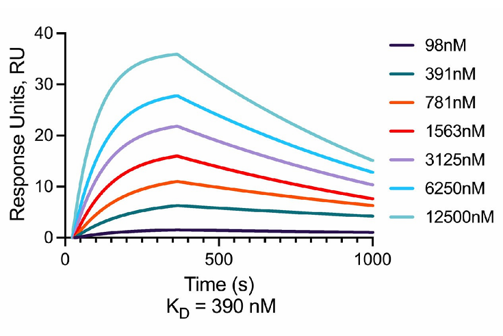 label-free-peptide-binding-assays-service2