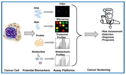 1989259492307095552-biomarker-testing-and-analysis-service1.jpg