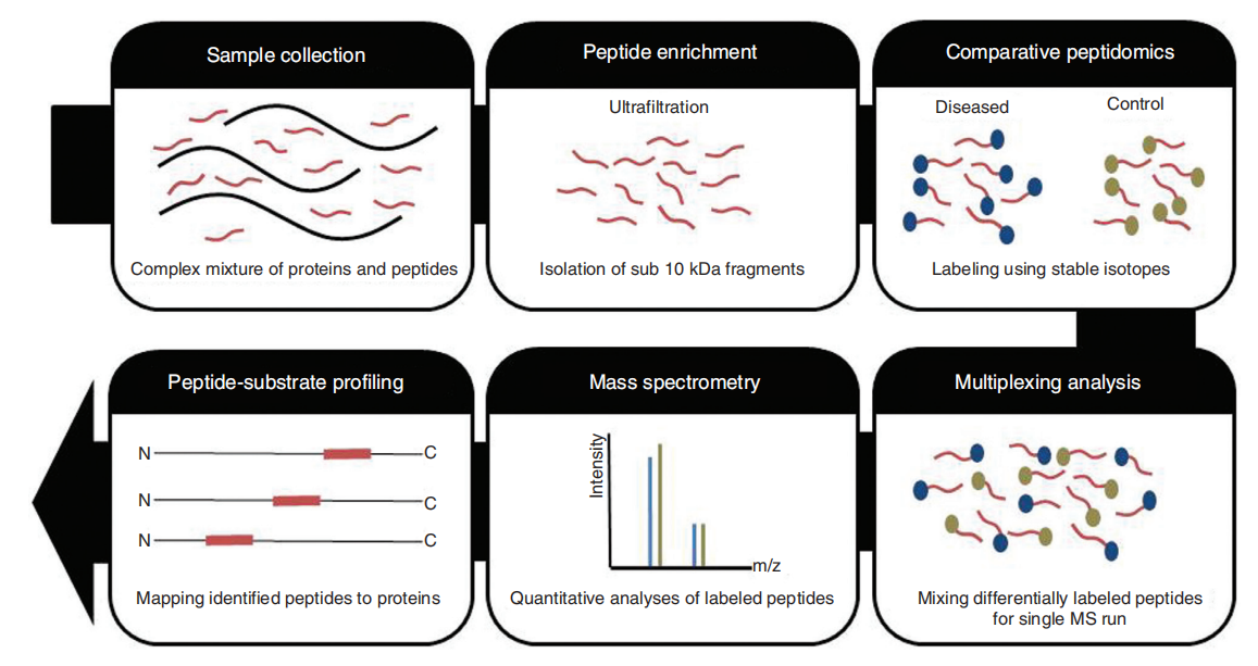 comparative-peptidomics-analysis-service-1