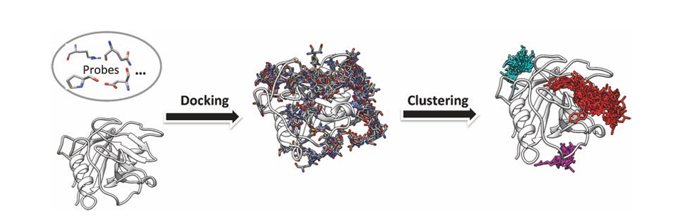 protein-peptide-binding-regions-prediction-service1