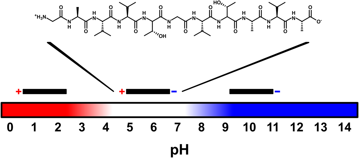 peptide-charge-identification-service-1