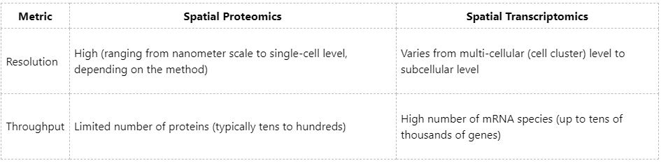 what-is-the-difference-between-spatial-proteomics-and-spatial-transcriptomics-2