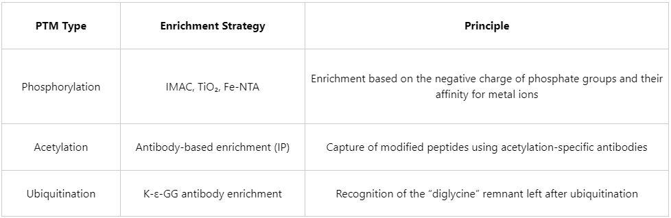 what-is-the-workflow-for-targeted-ptm-analysis