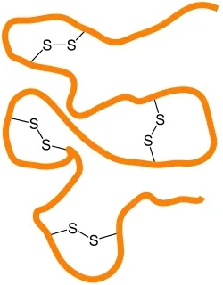 2004429470017056768-plant-proteins-disulfide-bond-analysis-service1.jpg