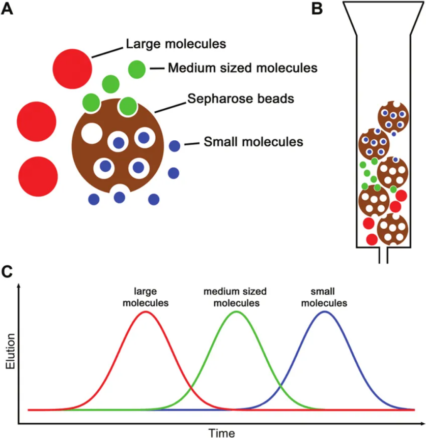 sec-hplc-based-molecular-weight-identification-service1