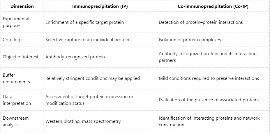 differences-between-immunoprecipitation-and-co-immunoprecipitation