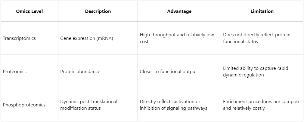 principles-of-phosphorylated-protein-analysis-unlocking-cellular-signaling-pathways