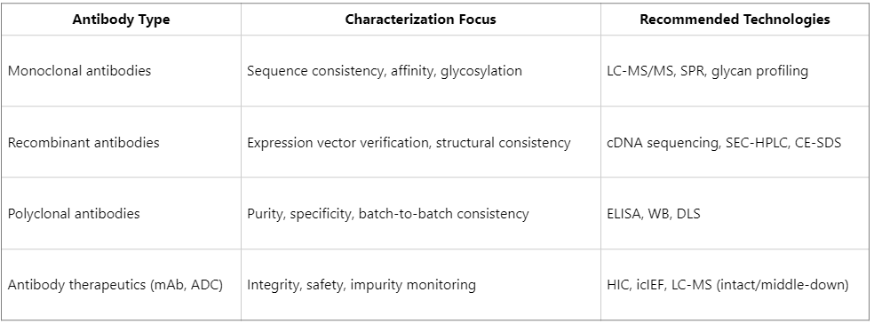 guide-to-antibody-characterization-from-sample-preparation-to-data-interpretation