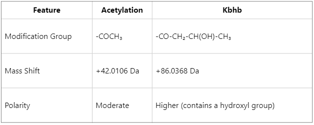 what-is-the-difference-between-histone-kbhb-and-acetylation-1