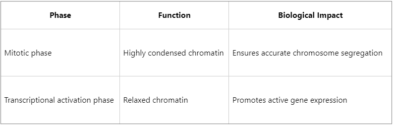 how-does-histone-phosphorylation-influence-chromatin-structure