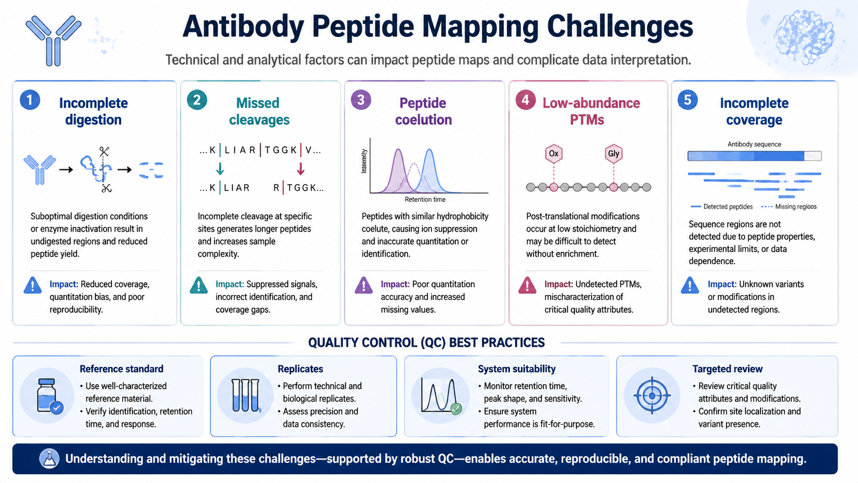 Common antibody peptide mapping challenges including incomplete digestion, missed cleavages, peptide coelution, low-abundance PTMs, and incomplete sequence coverage.