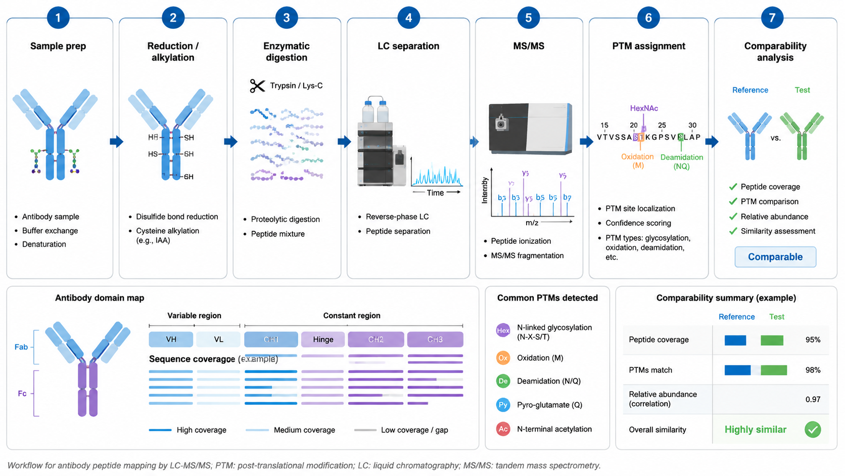 Antibody peptide mapping workflow from sample preparation and digestion to LC-MS/MS, peptide matching, PTM assignment, and comparability analysis.