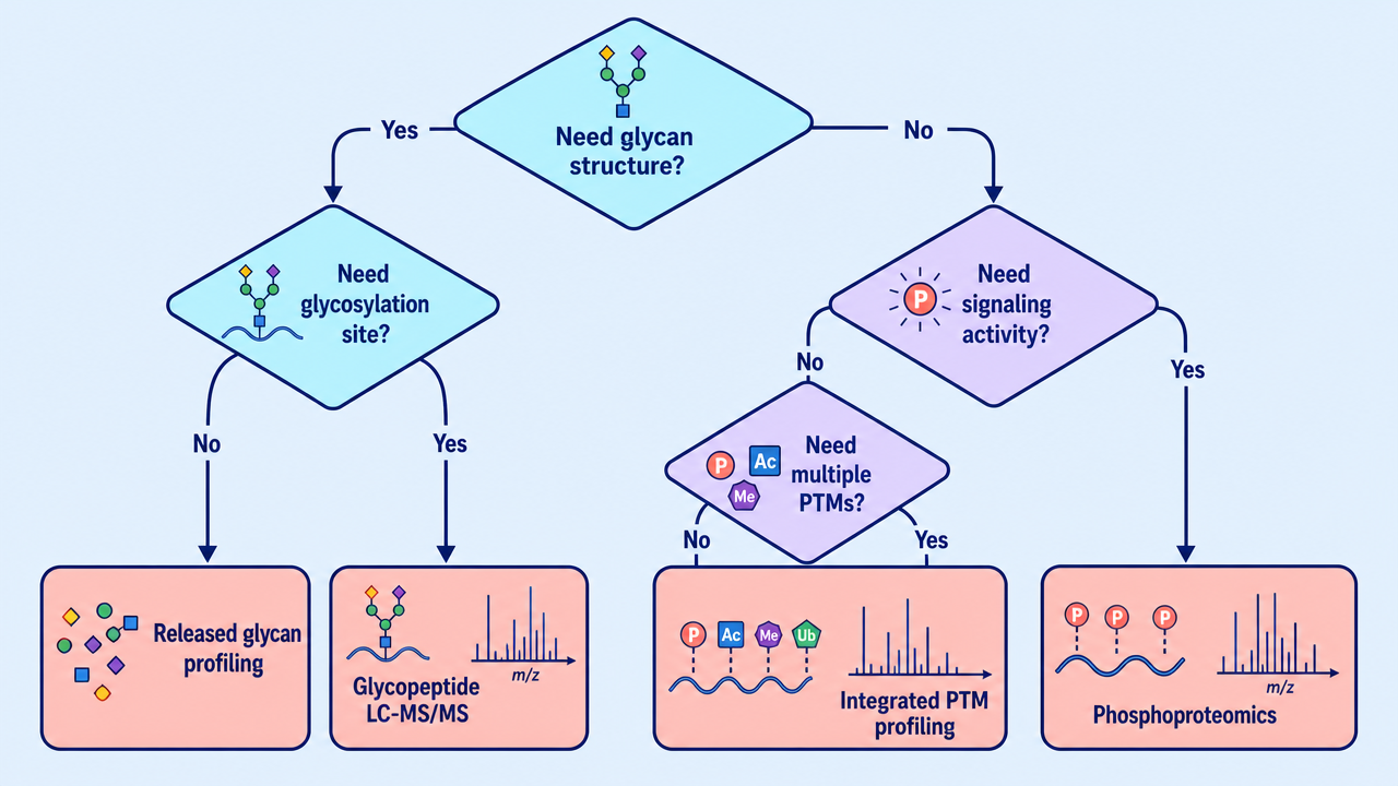 Decision framework for choosing glycan profiling, glycopeptide analysis, phosphoproteomics, or integrated PTM profiling.