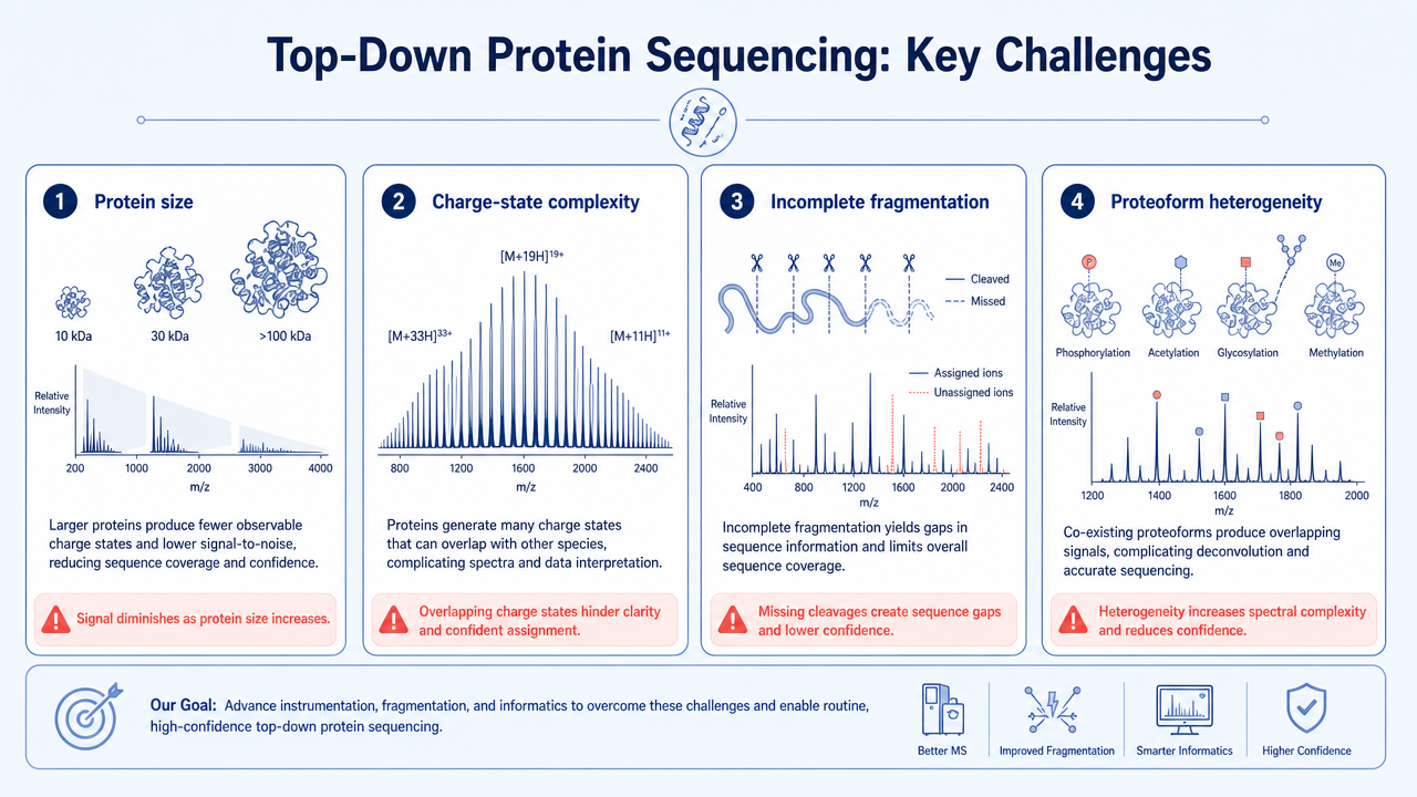 Challenges in top-down protein sequencing, including large protein size, charge-state complexity, incomplete fragmentation, and proteoform heterogeneity.