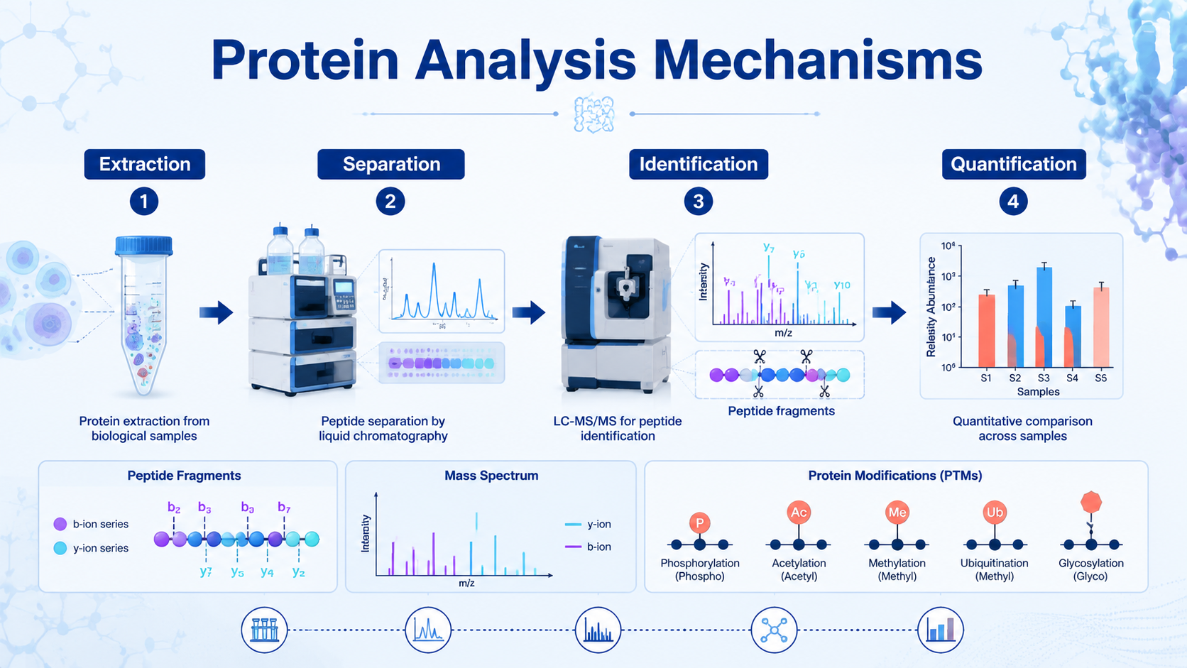 Cover image for protein analysis mechanisms