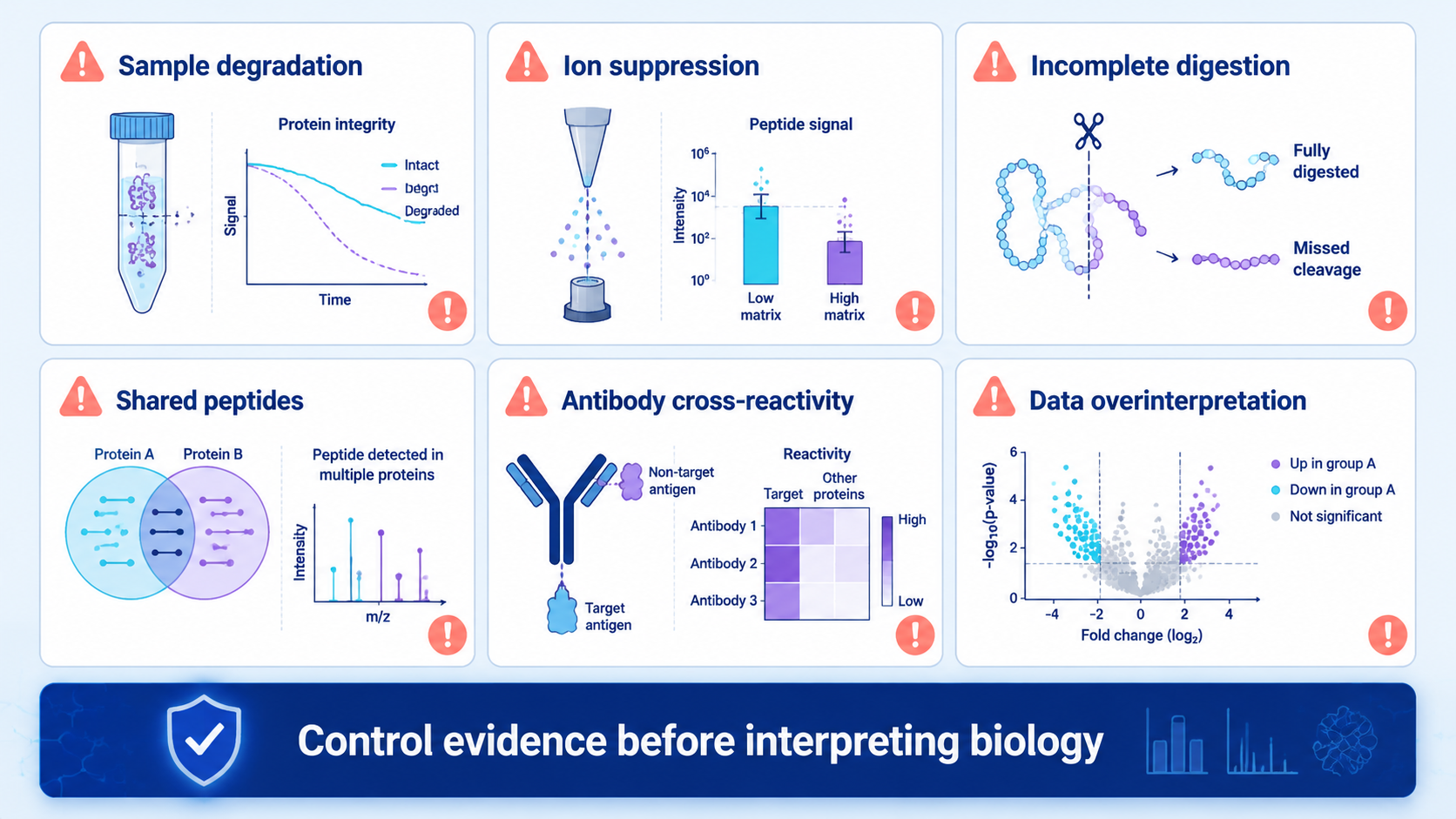 Common quality risks in protein analysis: sample degradation, ion suppression, incomplete digestion, shared peptides, antibody cross-reactivity, and data overinterpretation.