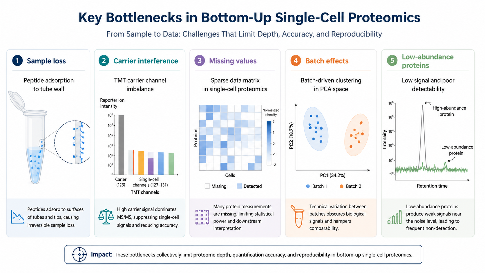 Technical bottlenecks in bottom-up single-cell proteomics including sample loss, carrier interference, missing values, batch effects, and low-abundance proteins.