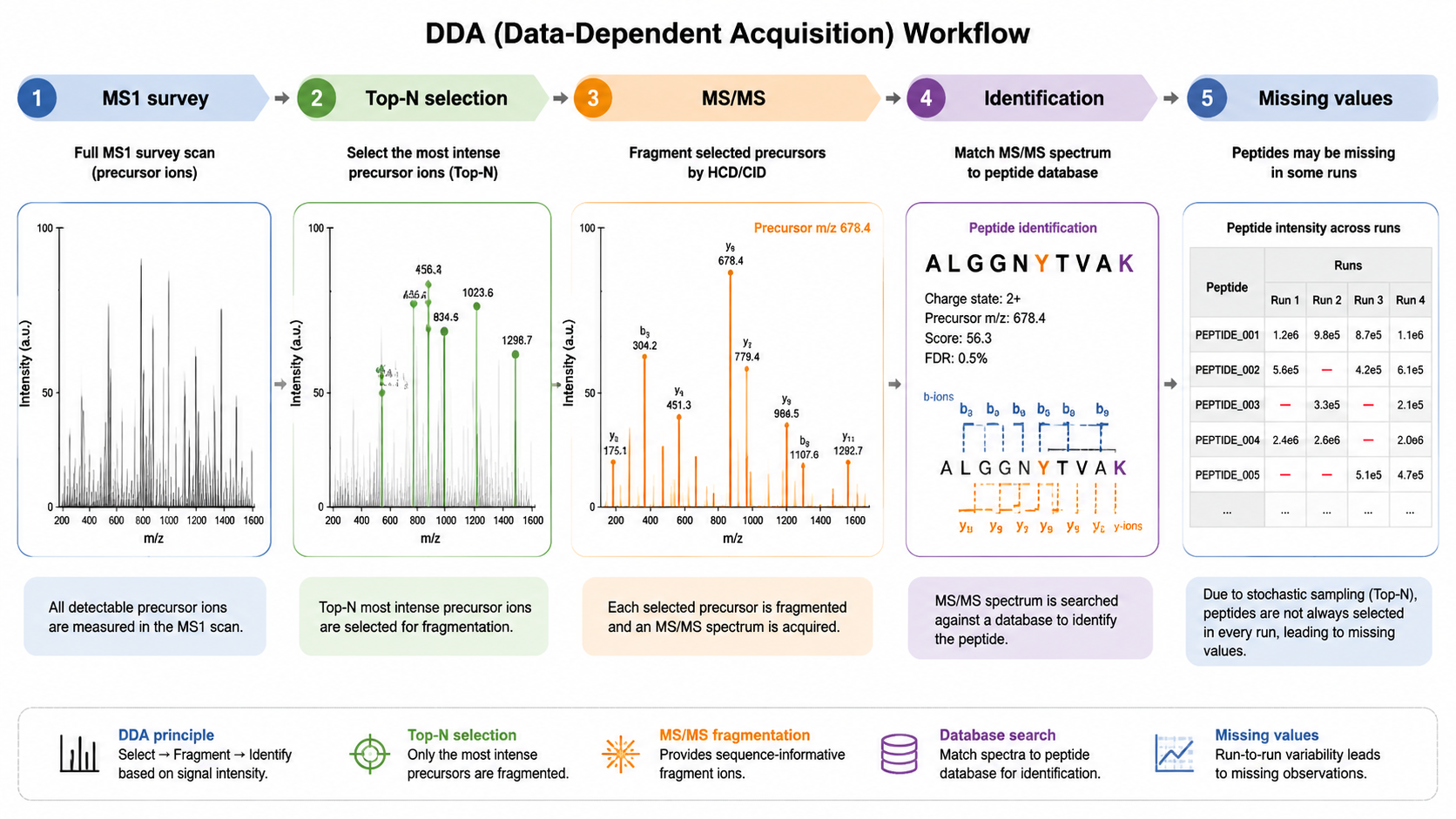 DDA acquisition workflow showing MS1 survey scan, top-N precursor selection, MS/MS fragmentation, and missing values across runs.