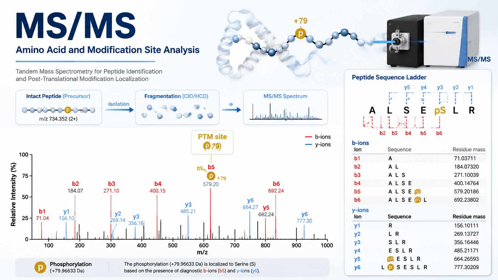 Cover image for amino acid assignment and modification localization from mass spectrometry