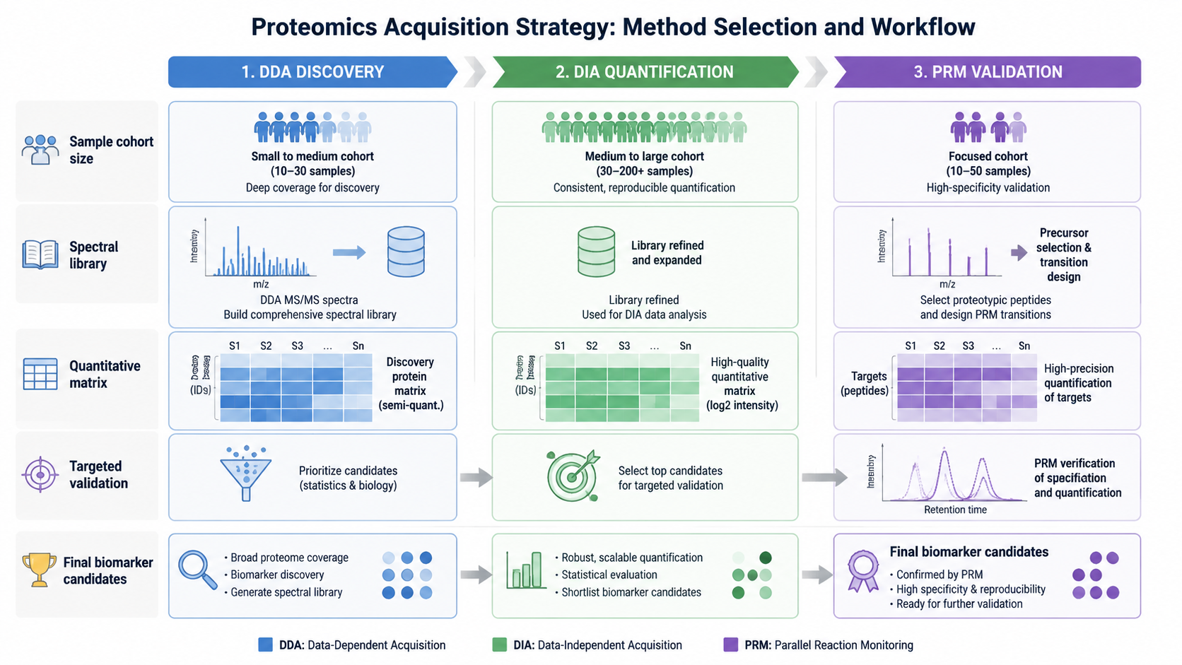 Decision framework for choosing DDA, DIA, or DIA plus PRM validation based on discovery, quantification, cohort size, and validation goals.