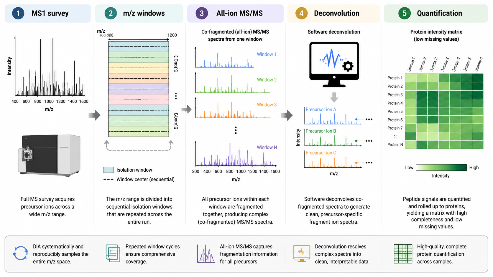 DIA acquisition workflow showing m/z windows, systematic precursor fragmentation, complex MS/MS spectra, and reproducible quantification.