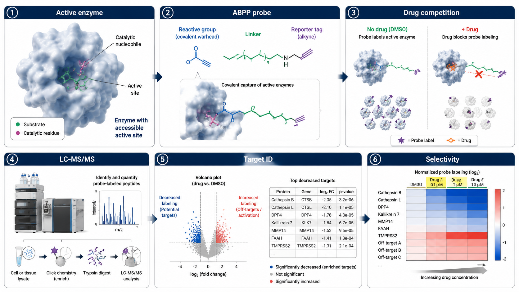 Activity-based protein profiling overview showing active enzymes, chemical probe labeling, competition by drug candidate, LC-MS/MS, and target identification.