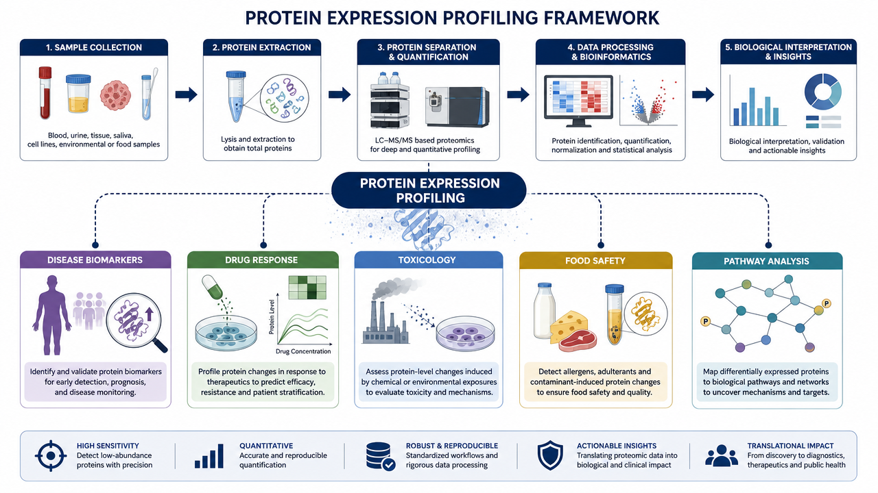 Applications of protein expression profiling including biomarkers, drug response, toxicology, food safety, and pathway interpretation.